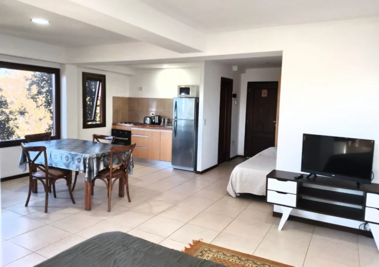 Loft Soñador3